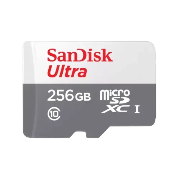 SanDisk Ultra 256GB Class-10 100mbps Micro SDXC UHS-I Memory Card (SDSQUNR-256G-GN3MN)